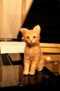 11794455_500619160100363_269099607582829468_o