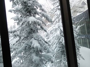 1919310_1544166479236797_6084118888477372292_n