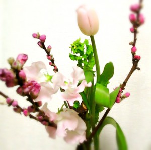 2016-03-02-20-03-53_deco