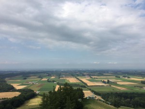 13892286_1664447113875399_9000888584861919305_n