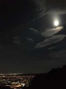 14355026_1684024931917617_7711739734658591369_n