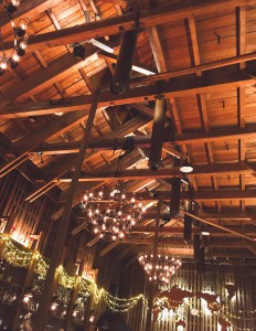 15027377_1727008797619078_3468496029339333337_n