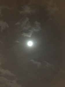 15094449_1728182004168424_5601535189714408627_n