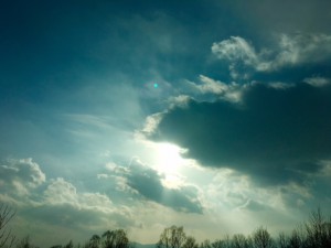 fullsizerender-6-%e3%81%ae%e3%82%b3%e3%83%92%e3%82%9a%e3%83%bc