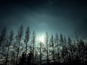 fullsizerender-6-%e3%81%ae%e3%82%b3%e3%83%92%e3%82%9a%e3%83%bc-2